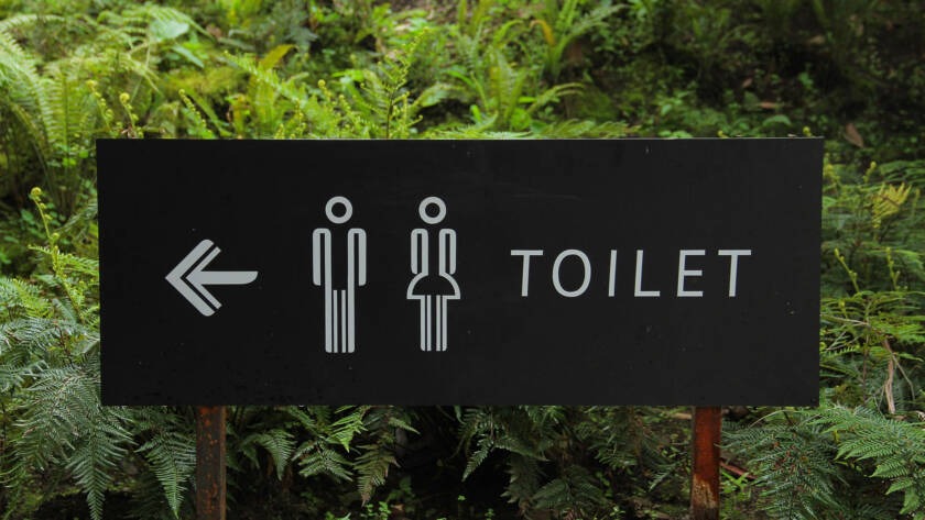 Toilet sign indicating men's and women's facilities, with directional arrow, surrounded by greenery.