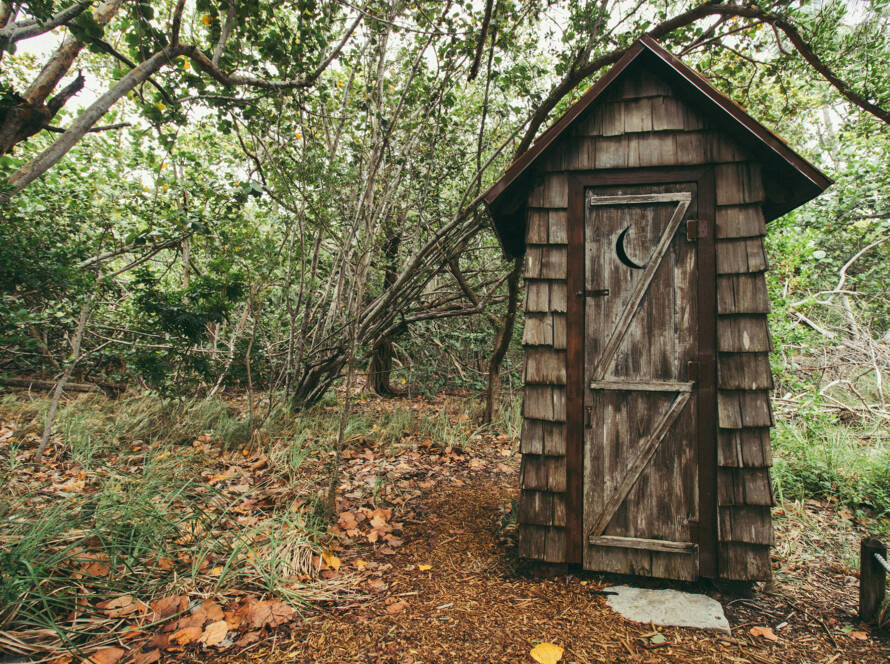 Wooden outhouse surrounded by dense greenery and fallen leaves, symbolizing traditional bathroom solutions in contrast to modern smart toilet technology promoted by Smart Thrones.